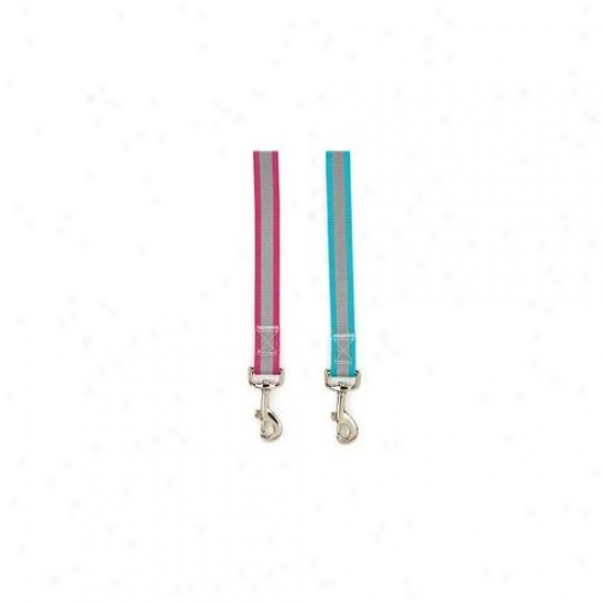 Petedge Zw1014 44 16 Gg Brite Refkective Lead 4 Ft X 5/8 In Bluebird