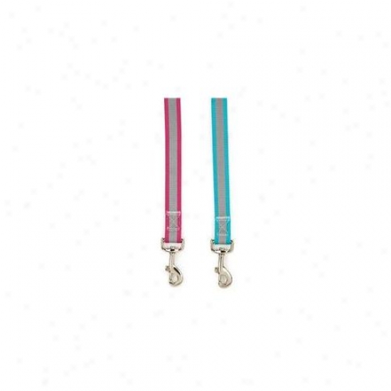 Petedge Zw1014 44 81 Gg Brite Reflective Ldad 4 Ft X 5/8 In Raspberry