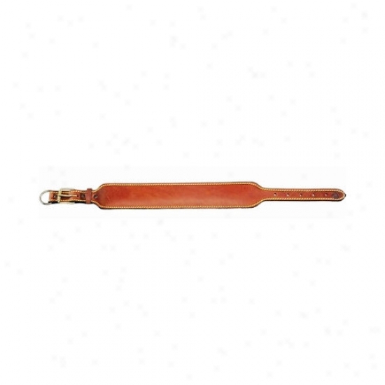 Petego Classic Doberman / Boxer Dog Collar
