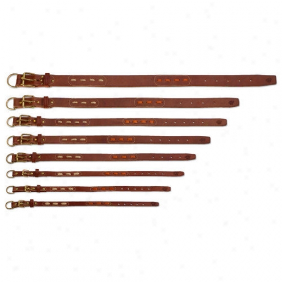 Petego Classic Flat Leather Dog Collar Upon Inserts