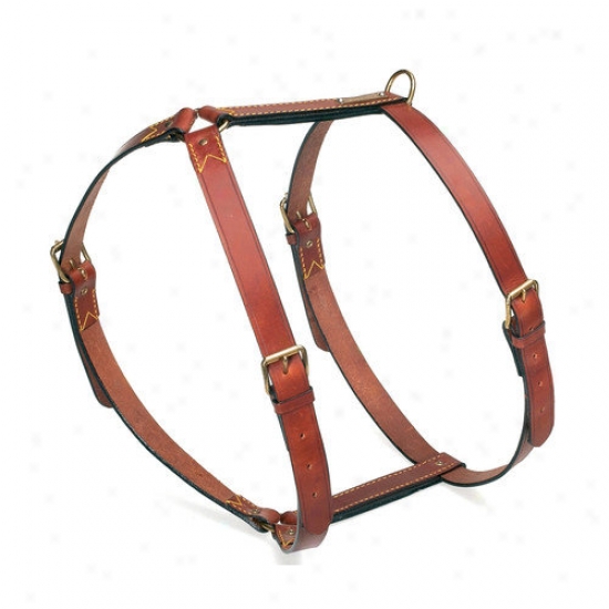 Petego Classic Leather Dog Harness