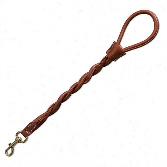 Petego Classic Leather Dog Leash With Twisted Tubular Hahd Grip