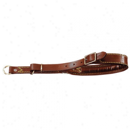 Petego Classic Locking Choke Collar