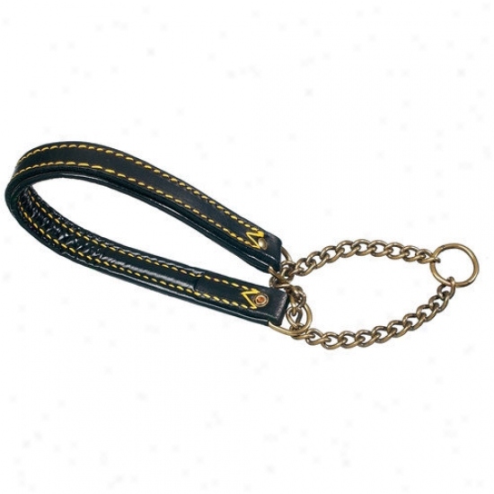 Petego Classic Padded Semi Choke Leather Dog Collar