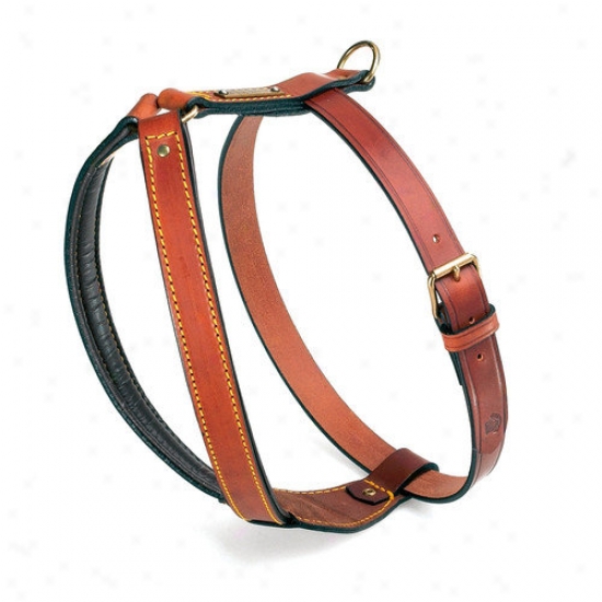 Petego Classic Pitbull Leather Dog Harness
