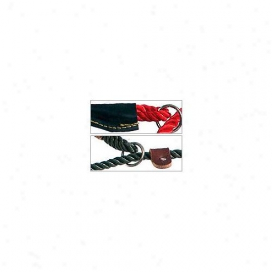 Petego Classic Special Dog Collar Attending Studs