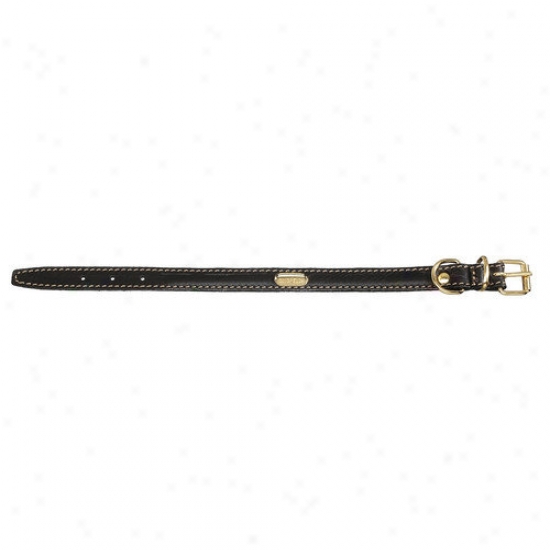 Petego Fashion Flat Leather Dog Collar In Black