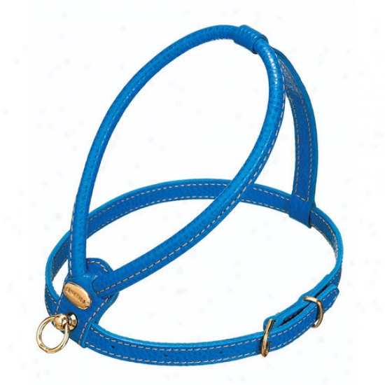 Petego Fashion Leather Dog Harness In Blue