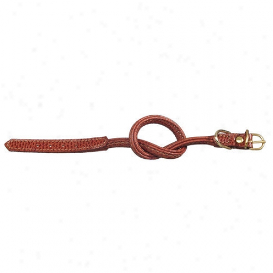 Pstego Fashion Tubular Leather Dog Collar In Brown