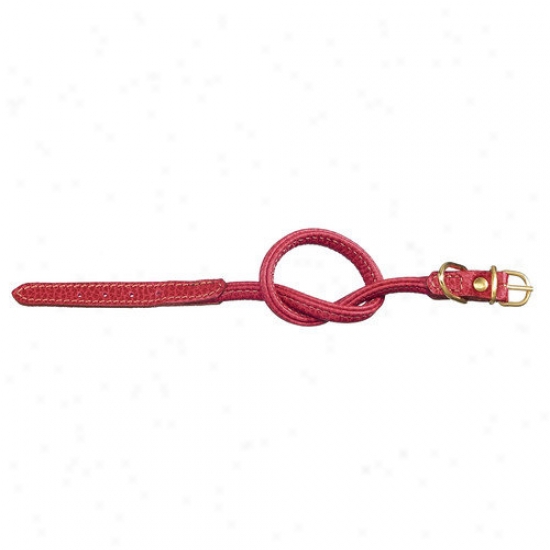 Petego Fashion Tubular Leather Dog Collar In Red