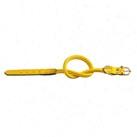 Petego Fashion Tubular Leather Dog Collar In Yellow