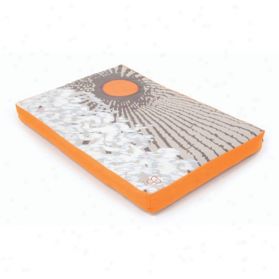 Petego Sunny Side Up Pet Bed