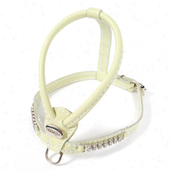 Petego Teacup Leather Dog Harness With Crystals In Sage