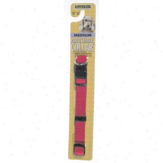 Petmate Aspen Pet 0327813 5/8-inch X 10-inch To 16-inch Adjustable Collar - Red