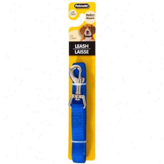 Petmate Aspen Pet 0327849 5/8-inch X 5-foot Lead Three  - Blue