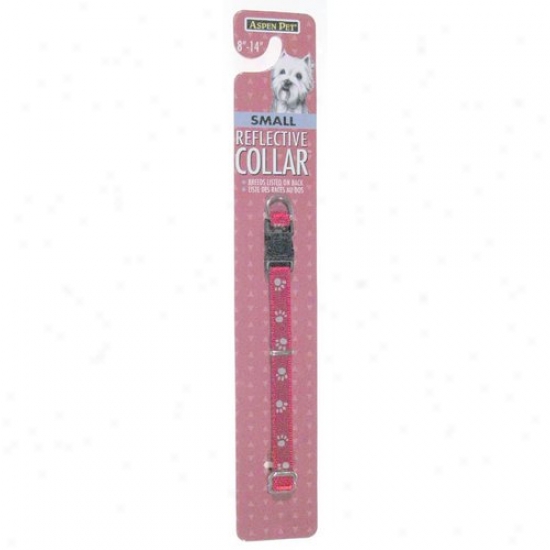 Petmate Aspen Pet 0327875 3/8-inch X 8-inch To 14-inch Thoughtful Collar - Red