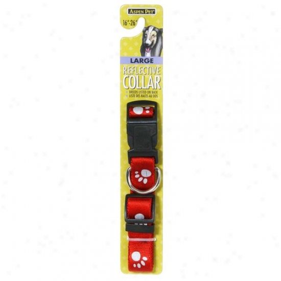 Petmate Aspen Pet 0327879 Red 1-inch X 16-inch Reflective Dog Collar