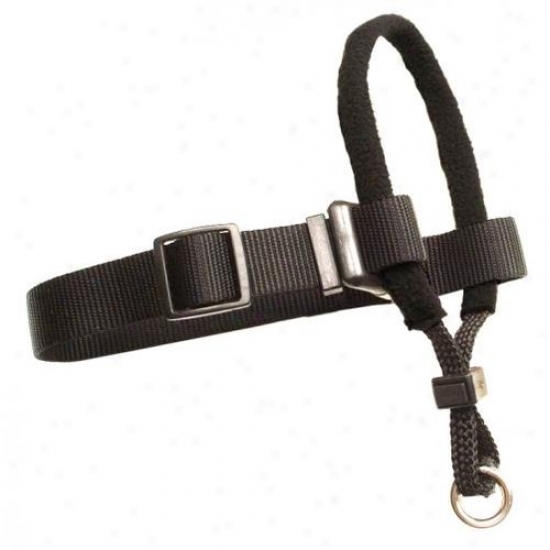 Petmat Aspen Pet 0380004 Large Dog Halter - Black