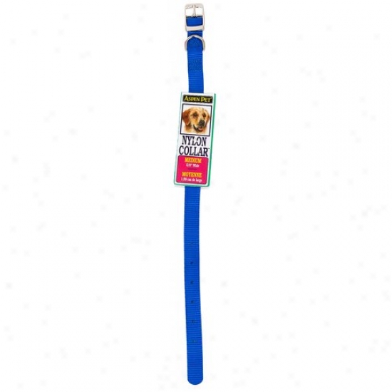 Petmate Aspen Pet 15408 14-inch X 5/8-inch Nylon Dog Collars - Royal Bluecollars