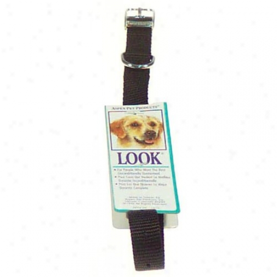 Petmate Apen Pet 15410 14-inch X 5/8-inch Nylon Dog Collars - Black
