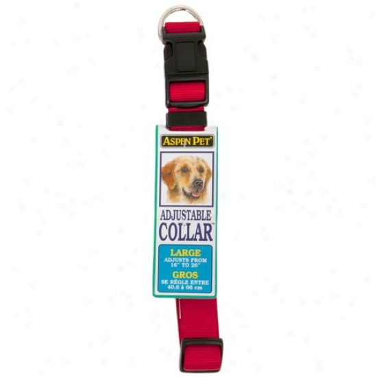 Pdtmate Aspen Pet 20806 16-inch To 26-inch Nylon Adjustable Dog Collars - Red