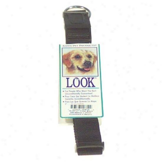 Petmate Aspen Pet 20810 16-inch To 26-inch Nylon Adjustable Dog Collars - Black