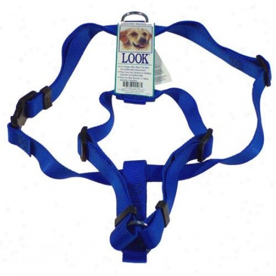 Petmate Aspen Pet 22108 20-inch To 32-inch Adjustable Dog Harness - Royal Azure