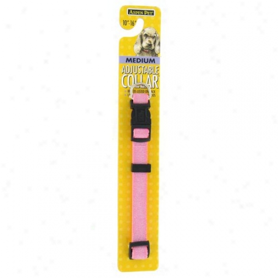 Petmate Aspen Pet 27969 5/8-inch X 10-inch To 16-inch Adjustable Collar - Pink