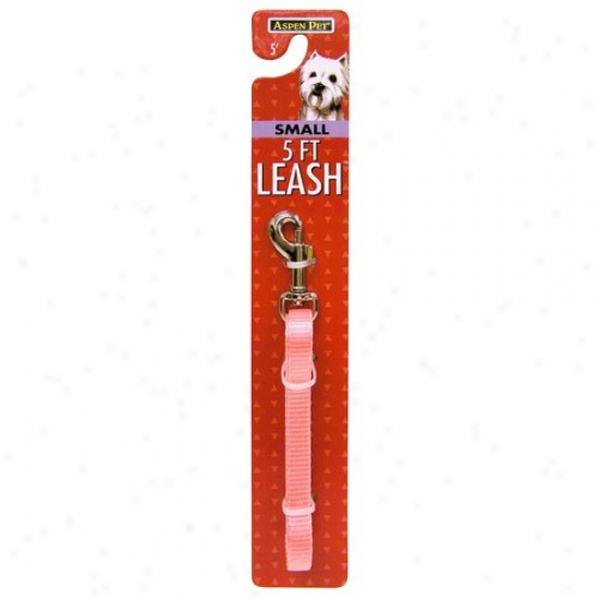 Petmate Aspen Pet 27981 3/8-inch Lead For Small Dogs - Light Minnow