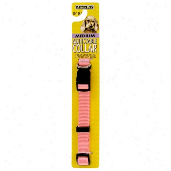 Petmate Aspen Pet 27983 5/8-inch Adjustable Dog Collar - Light Pink