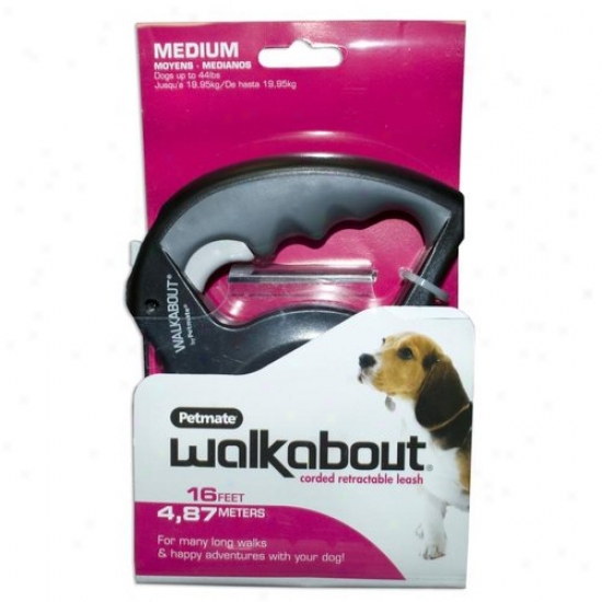 Petmste Aspen Pet 324294 Walkkabout Corded Retractable Tie - Medium