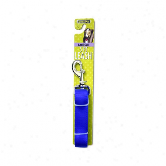 Petmate Apsen Pets Dog Leash In Royal Blue