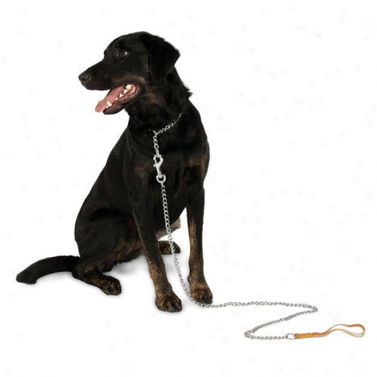 Petmate Aspen Pets Lightweight Mighty Link Chain Collar