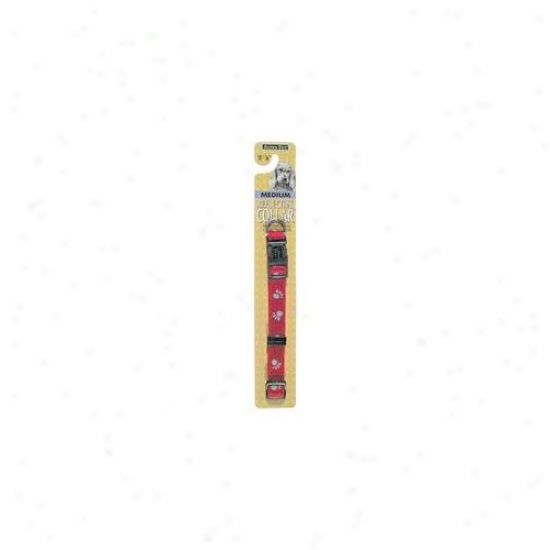 Petmate Aspen Pets Reflecyive Dog Collar