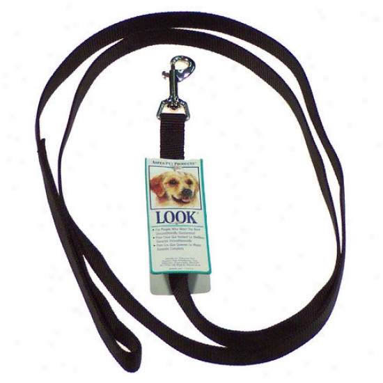 Petmate Aspen Pets Standard Nylon Training Leash