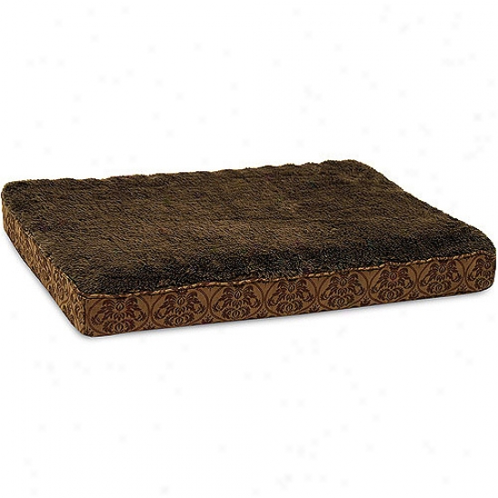 Petmate Double Orthopedic Foam With Piping, Multiple Sizes Available