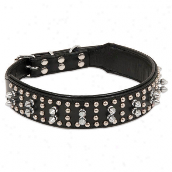 Petmate Studnallhead And Spikes Adjustable Dog Collar