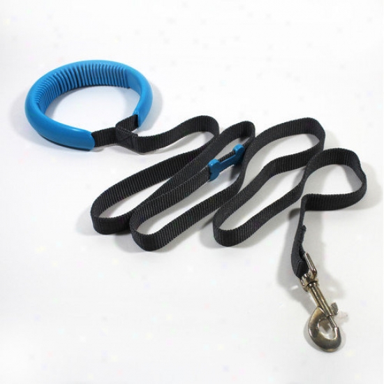 Petprojekt Dog Leash