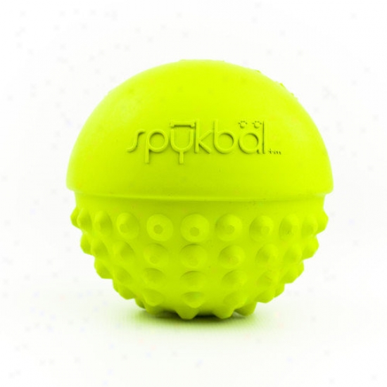 Petprojwkt Spykbal Dog Toy