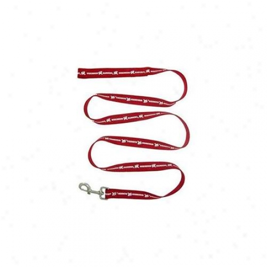 Pets First Wbl-m Wisconsin Badgers Leash Medium