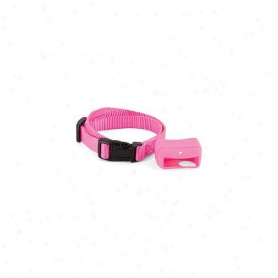 Petsafe Bigskin-p Petsafe Big Skins - Pink - Pac00-12732