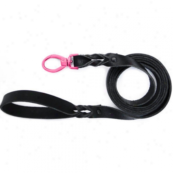 Paltinum Pets Braided Leather Leaxh
