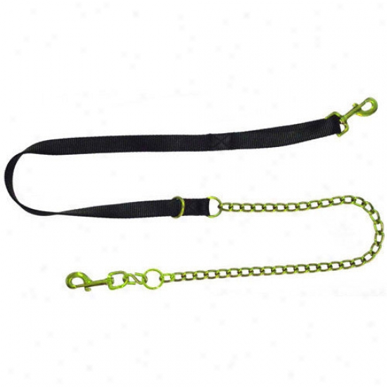 Platinum Pets Genuine Leather Hands Free Do gLeash
