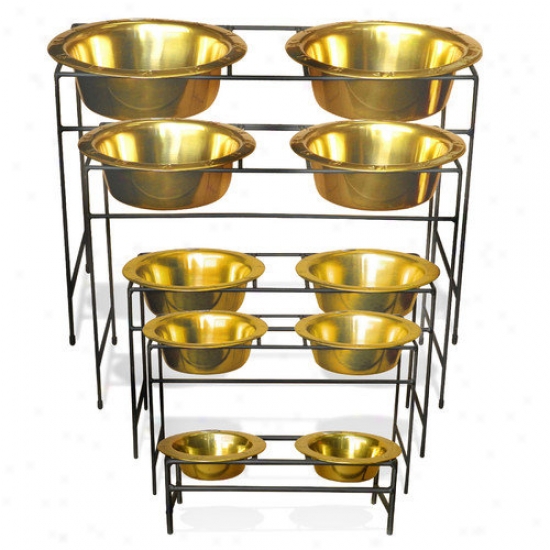 Platinum Pets Modern Diner Stand By the side of Stainless Steel Pet Bowl (96 Oz.)