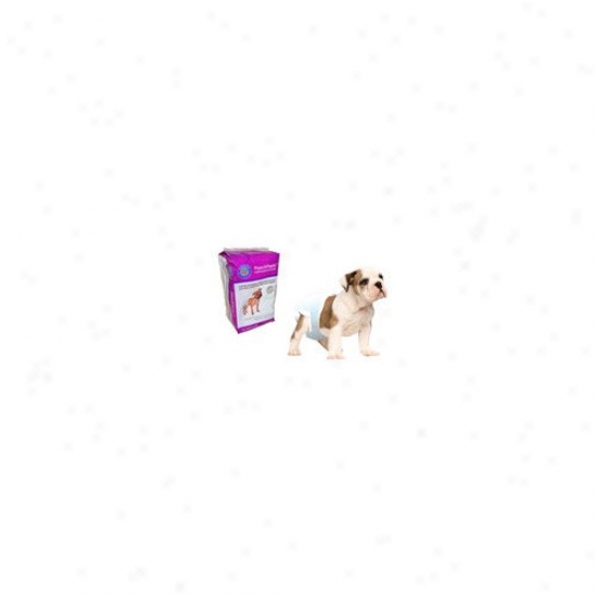 Poochpad Products Disposable Diaper