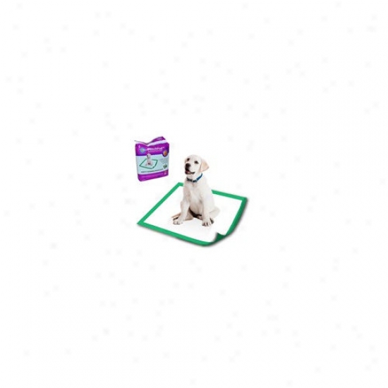 Poochpad Products Disposable Potty Pad