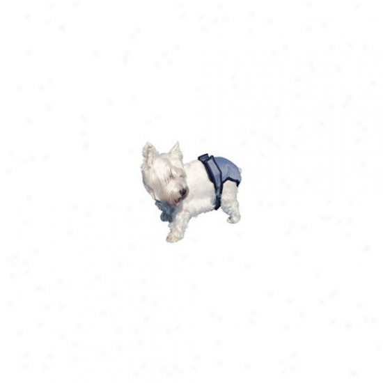 Poochpad Products Poochpant Diaper