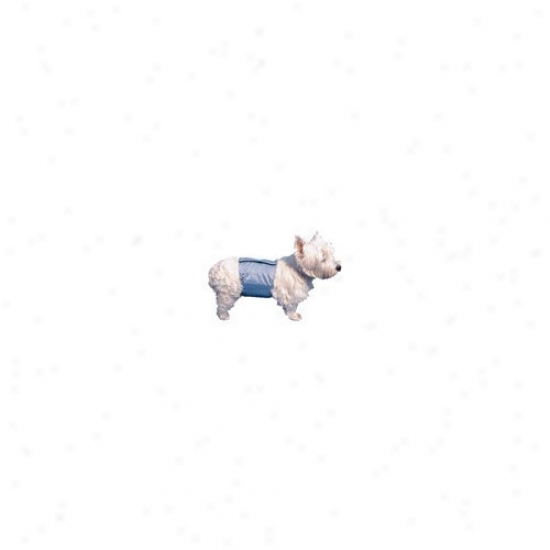 Poochpad Products Poochpant Male Wrap