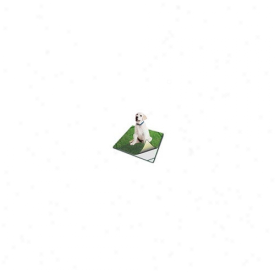 Poochpad Products Turf Dog Potty Traveler