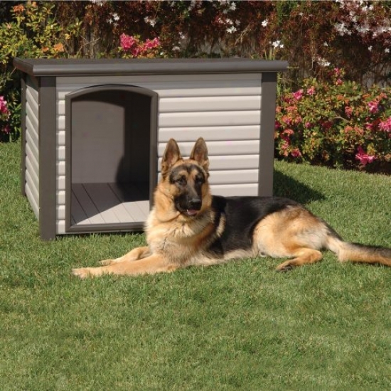 Precision Cozy Cabin Dog House